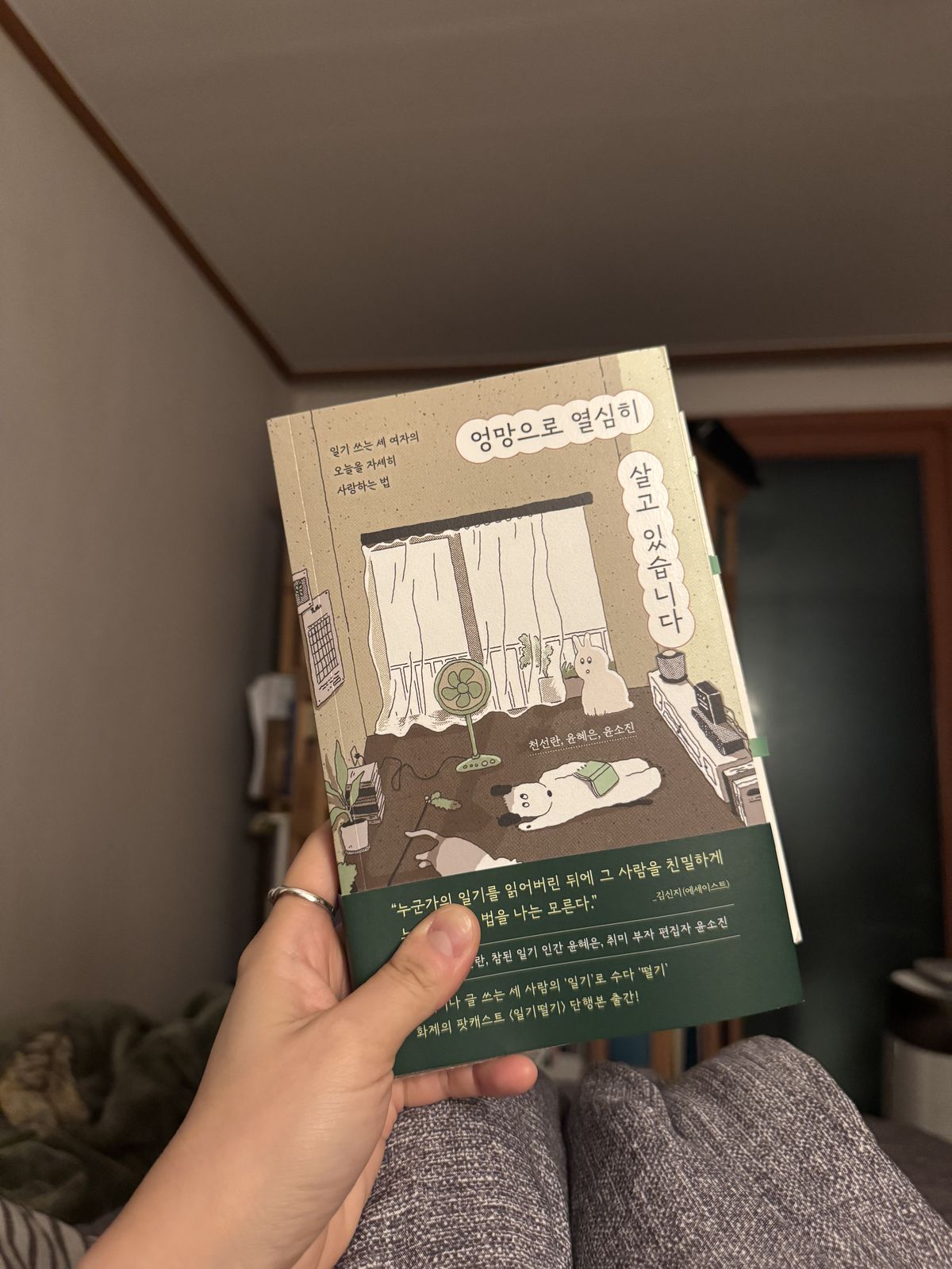 엉망으로 열심히 살고 있습니다